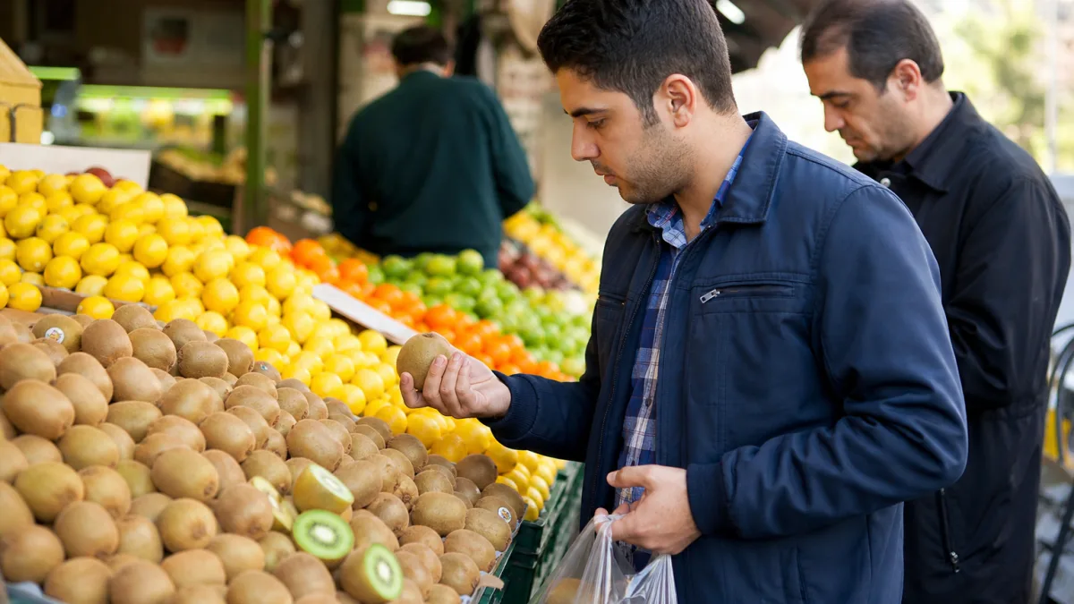 قیمت روز کیوی در میادین برای خرید تازه و اقتصادی