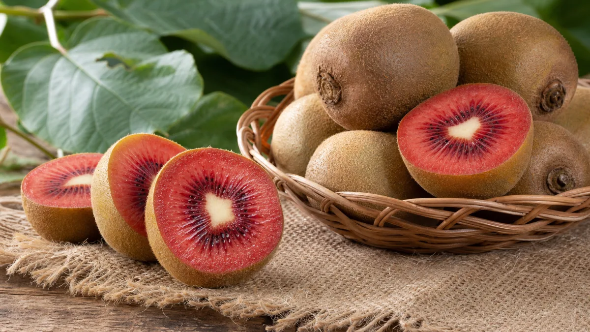 فروش کیوی تو سرخ