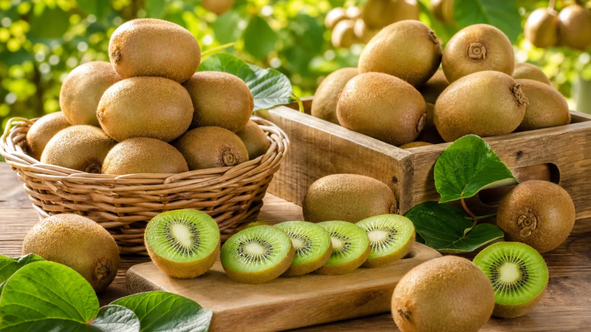 انتخاب فنی برای خرید کیوی تازه